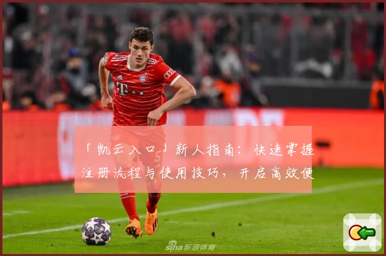 「凯云入口」新人指南：快速掌握注册流程与使用技巧，开启高效便捷体验之旅