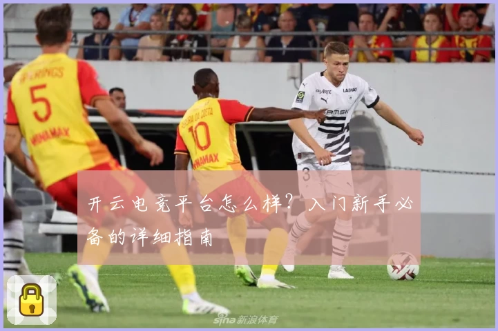 开云电竞平台怎么样？入门新手必备的详细指南
